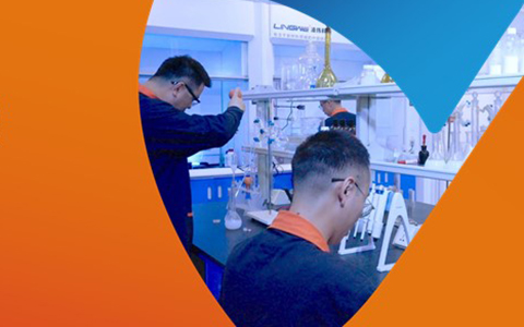 凌瑋科技：創新型納米二氧化硅的革新者